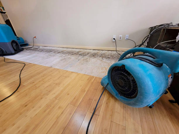 Professional Sewage Cleanup technician working in New Boston, MI